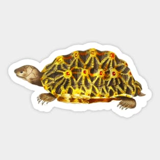 Yellow turtle in colorful vintage design Sticker